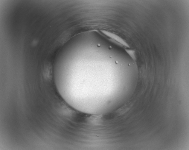 X0000068850138200605192001