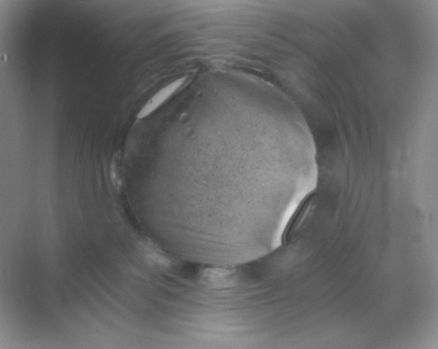 X0000068850139200605192001