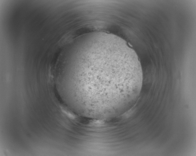 X0000068850140200605192001