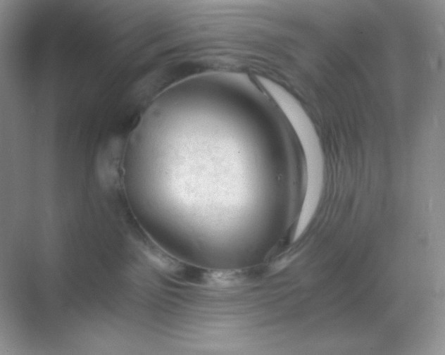 X0000068850141200605192001