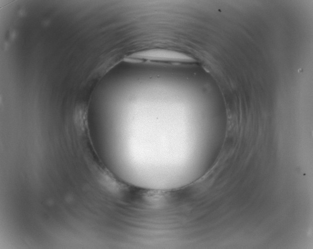 X0000068850142200605192001