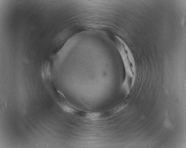 X0000068850143200605192001