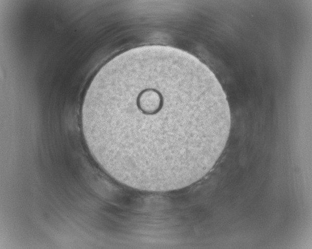 X0000068850146200605192000