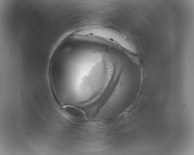 X0000068850147200605192000