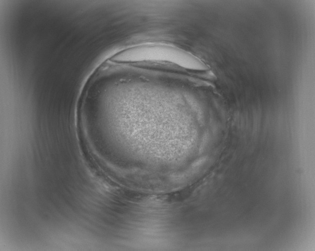 X0000068850148200605192000