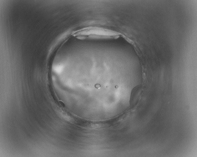 X0000068850149200605192000