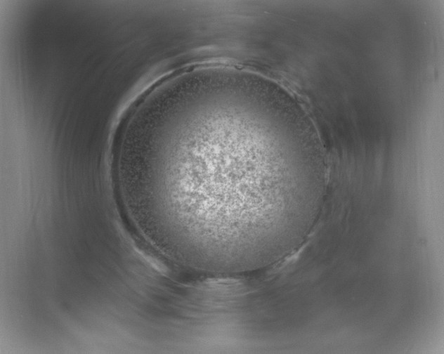 X0000068850150200605192000