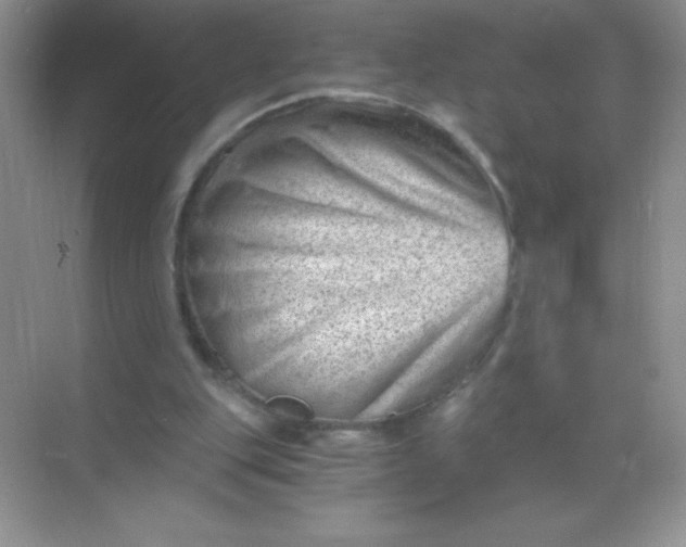 X0000068850151200605192000