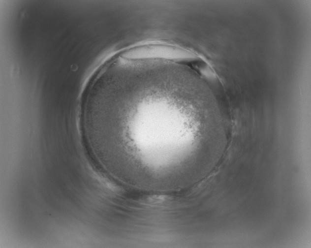 X0000068850152200605192000