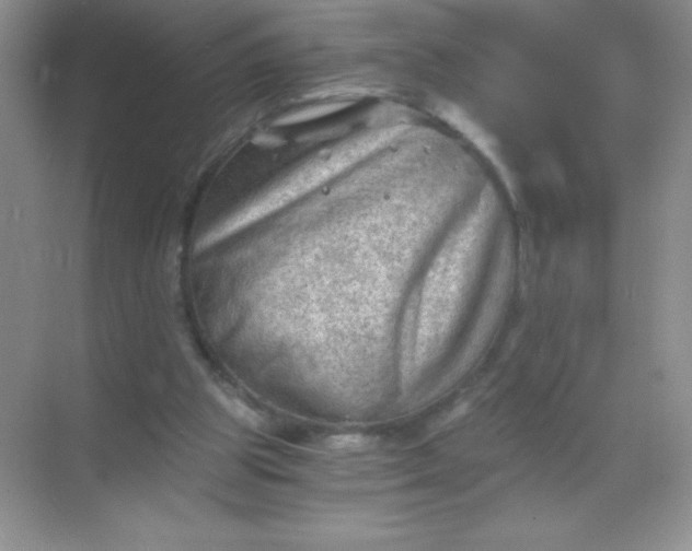 X0000068850153200605192000