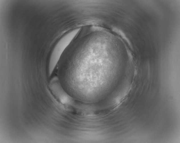 X0000068850154200605192000