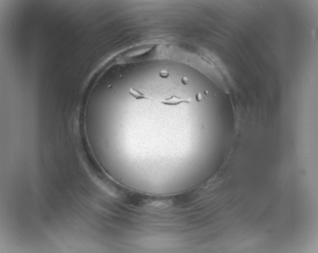 X0000068850155200605192000