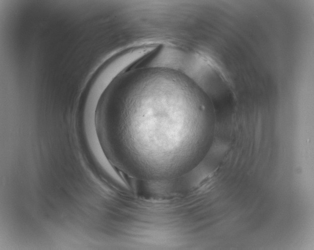 X0000068850156200605192000