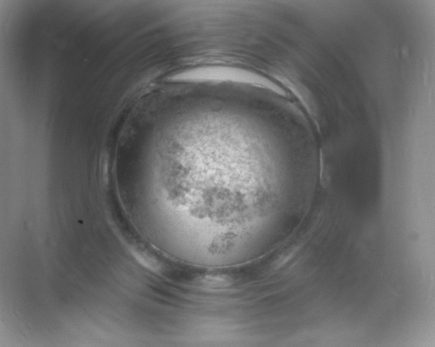 X0000068850157200605192000