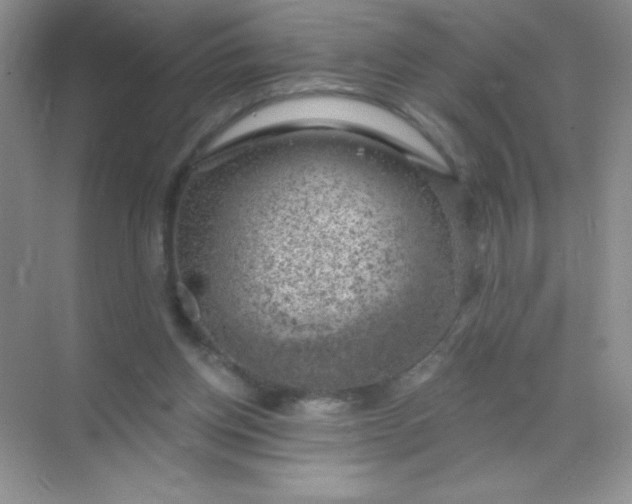 X0000068850158200605192000