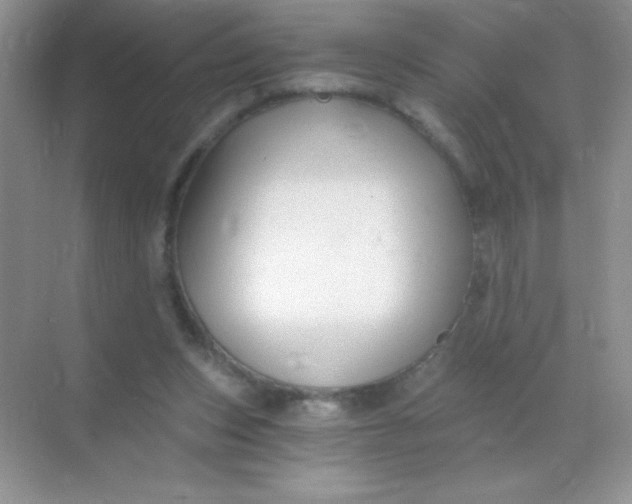 X0000068850159200605192000