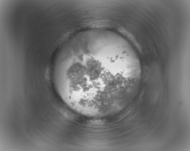 X0000068850161200605192000