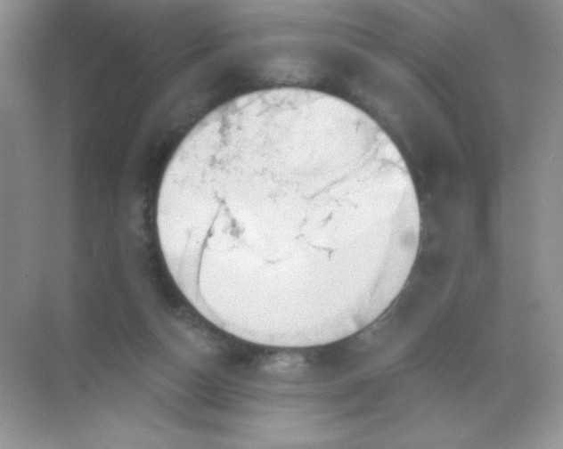 X0000068850162200605192000