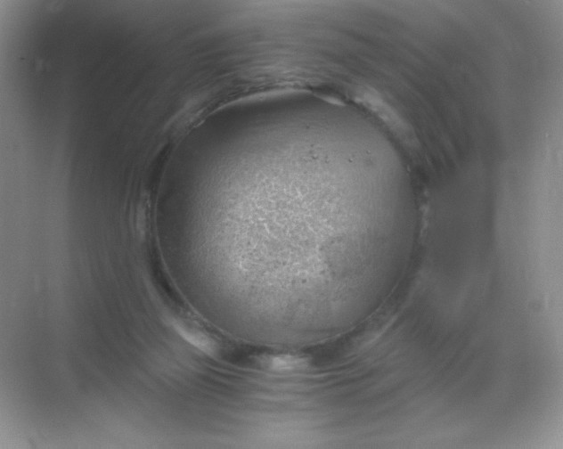 X0000068850165200605192000