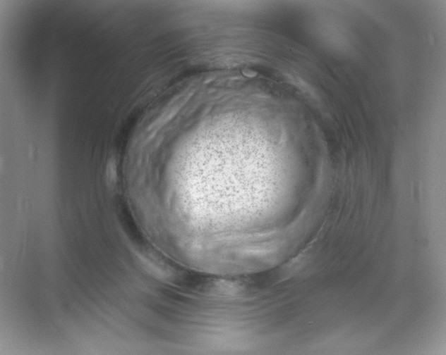 X0000068850166200605192000