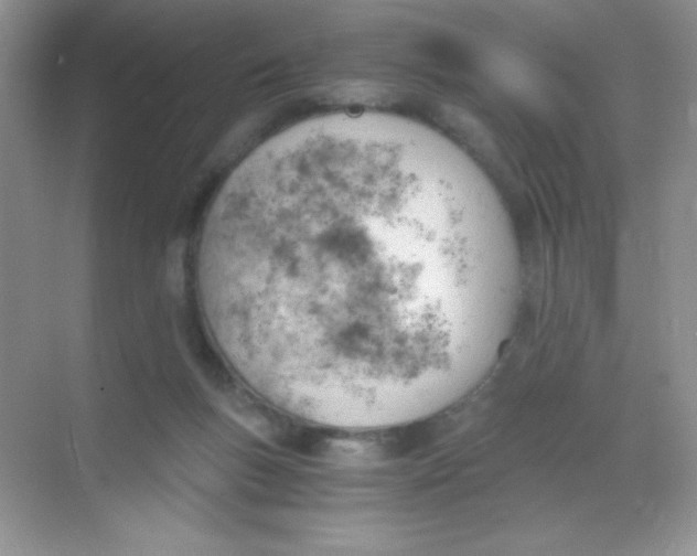 X0000068850167200605192000