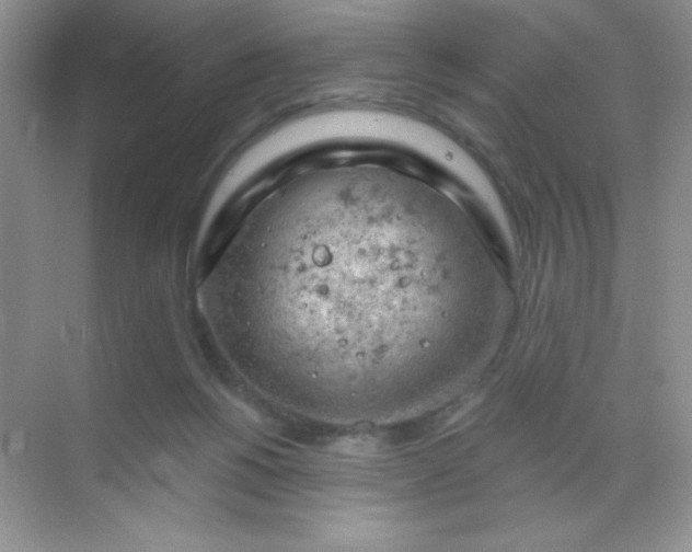 X0000068850168200605192000