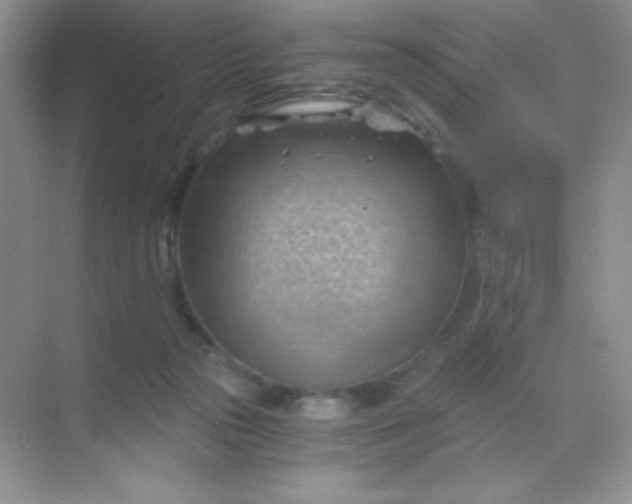 X0000068850169200605192000