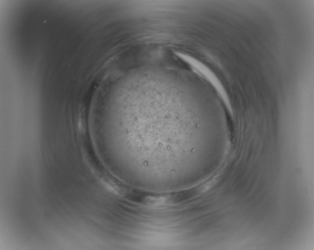 X0000068850170200605192000