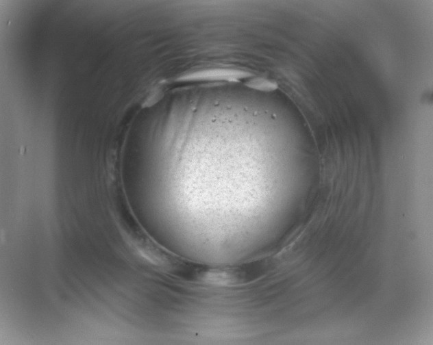 X0000068850171200605192000