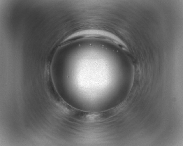 X0000068850172200605192000