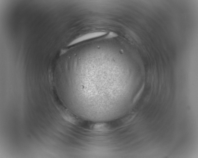 X0000068850173200605192000