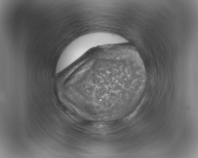 X0000068850174200605192000