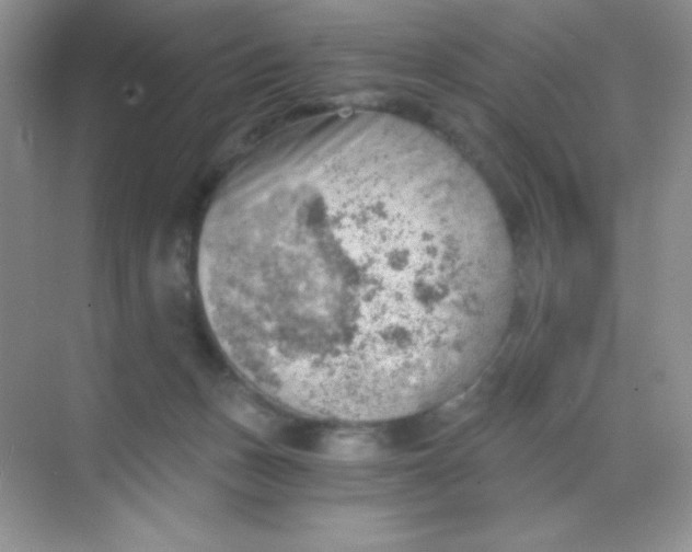 X0000068850175200605192001