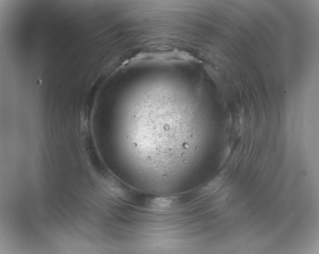 X0000068850176200605192001