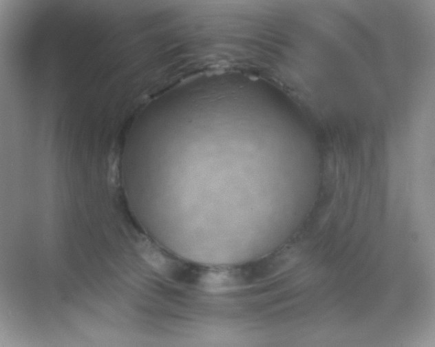 X0000068850177200605192001