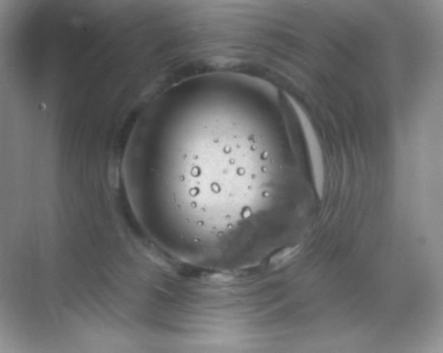 X0000068850180200605192001