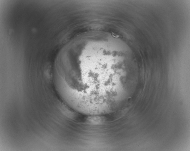 X0000068850181200605192001