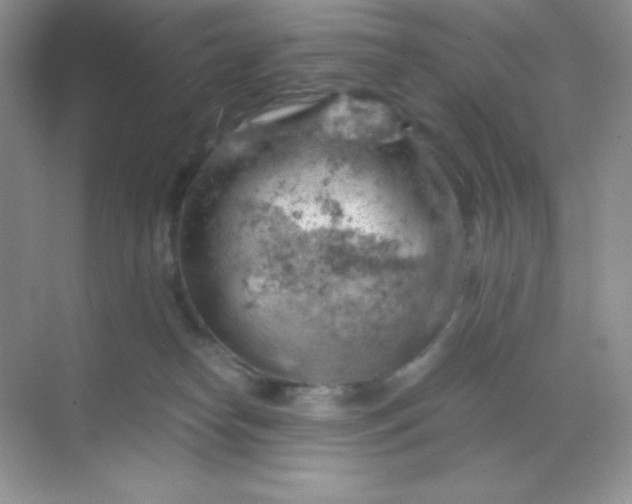 X0000068850182200605192001