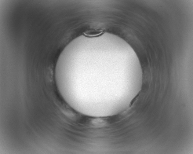 X0000068850183200605192001