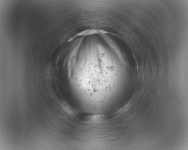 X0000068850184200605192001