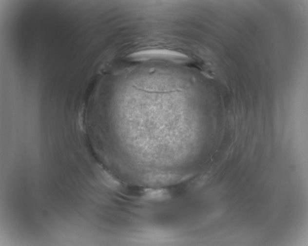 X0000068850185200605192001