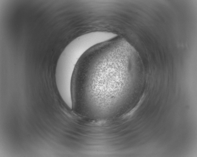 X0000068850186200605192001