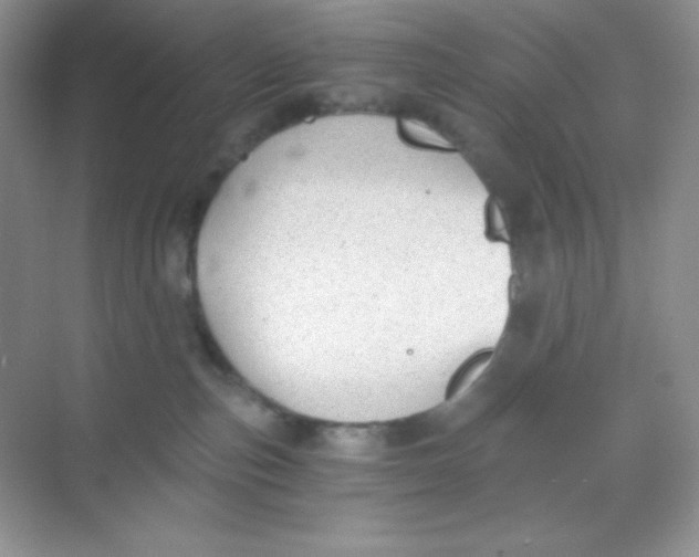 X0000068850187200605192001