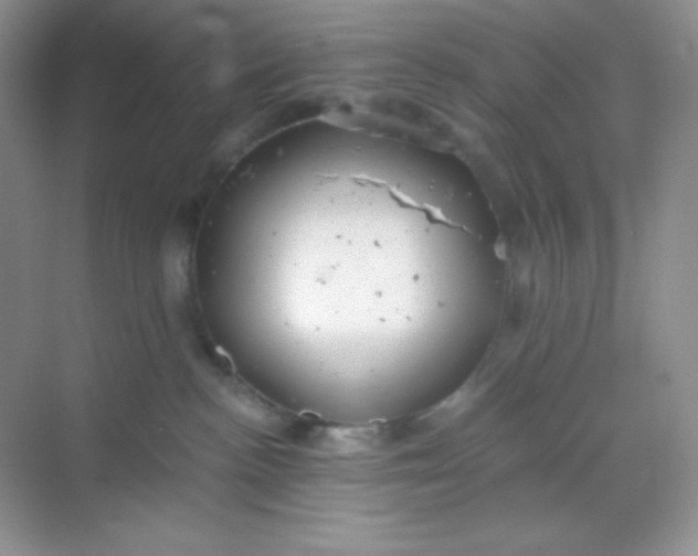 X0000068850188200605192001