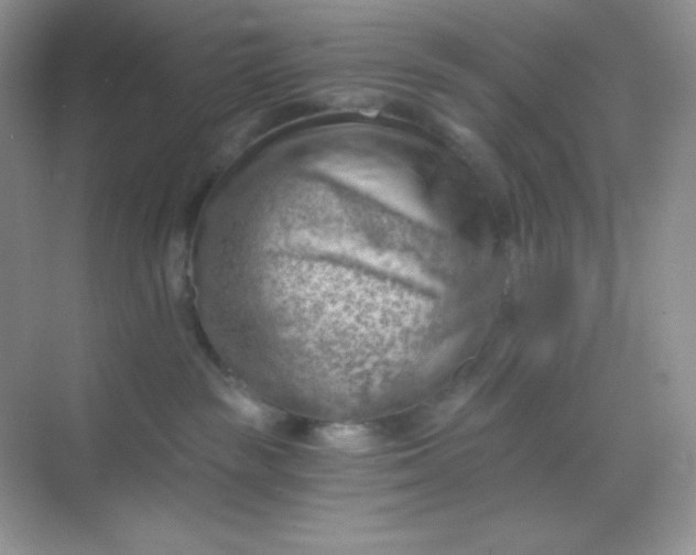 X0000068850189200605192001