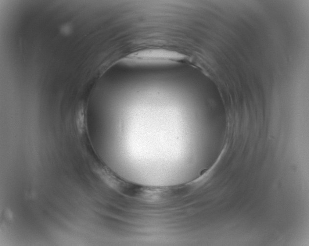 X0000068850190200605192001