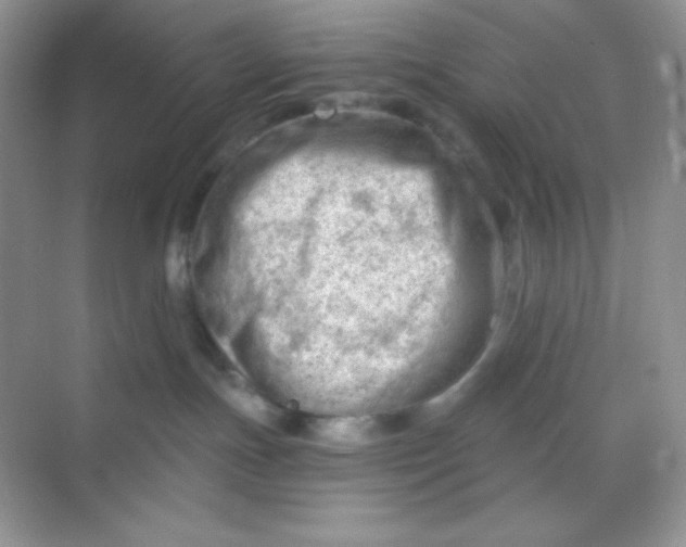 X0000068850191200605192001