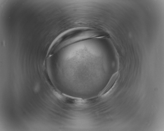 X0000068850192200605192001