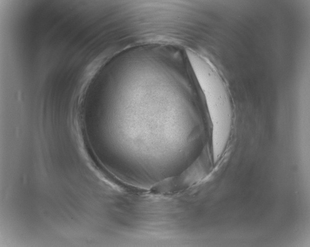 X0000068850193200605192000