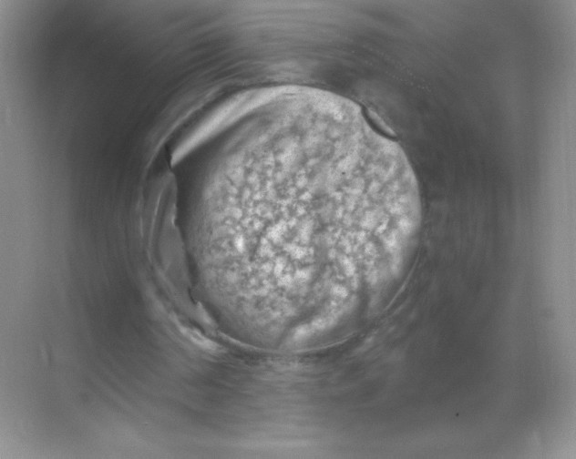 X0000068850194200605192000